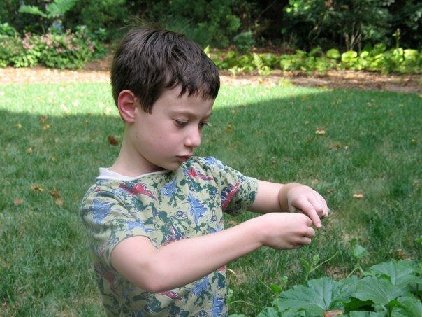 Tending to the veggies